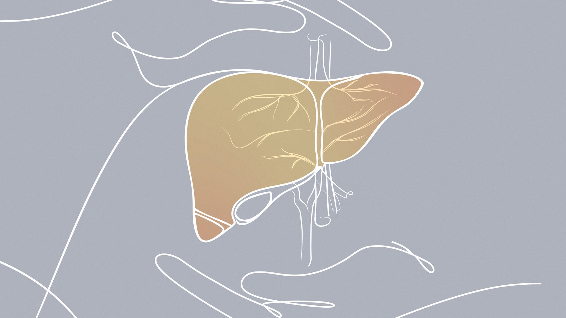 Sostegno del Registro Nazionale della Colangite Biliare Primitiva – Anno 2023/2024