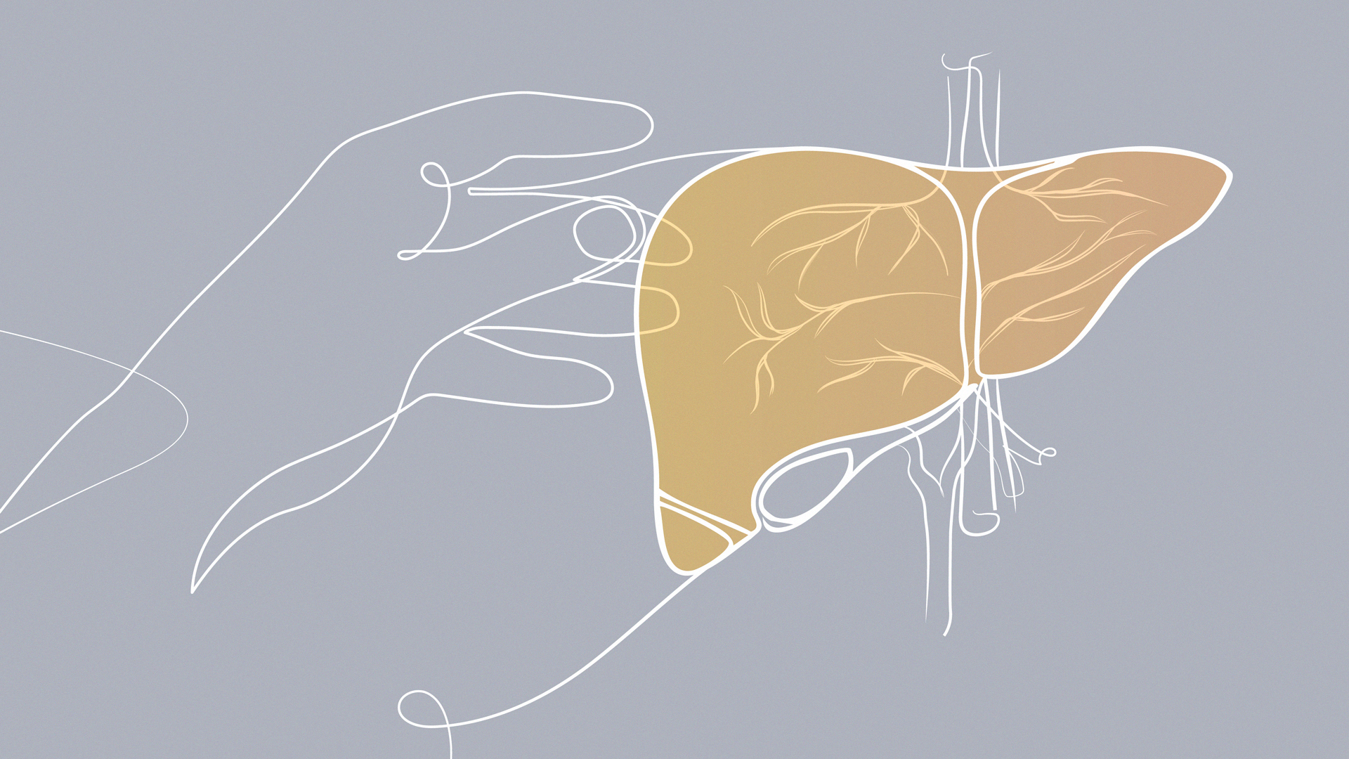 Sostegno del Registro Nazionale della Colangite Sclerosante Primitiva – Anno 2024